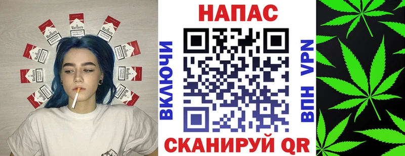 наркота Светлоград hydra ССЫЛКА Конопля планчик